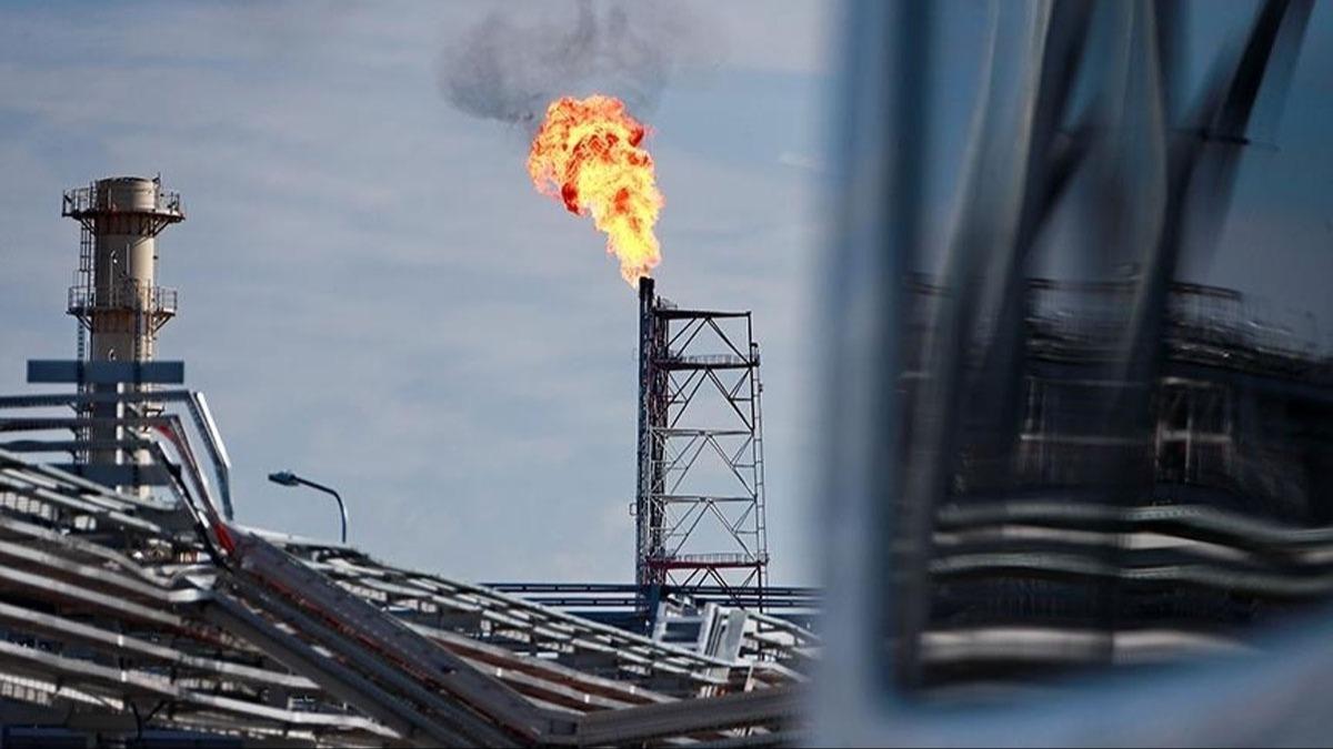 Trkiye'de ithalat bamllnn nne ''enerji kalkan'' ile geilecek