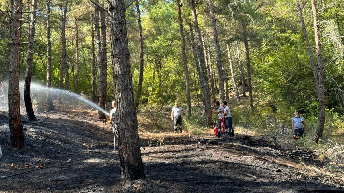 OM kampsndeki ormanlk alanda yangn