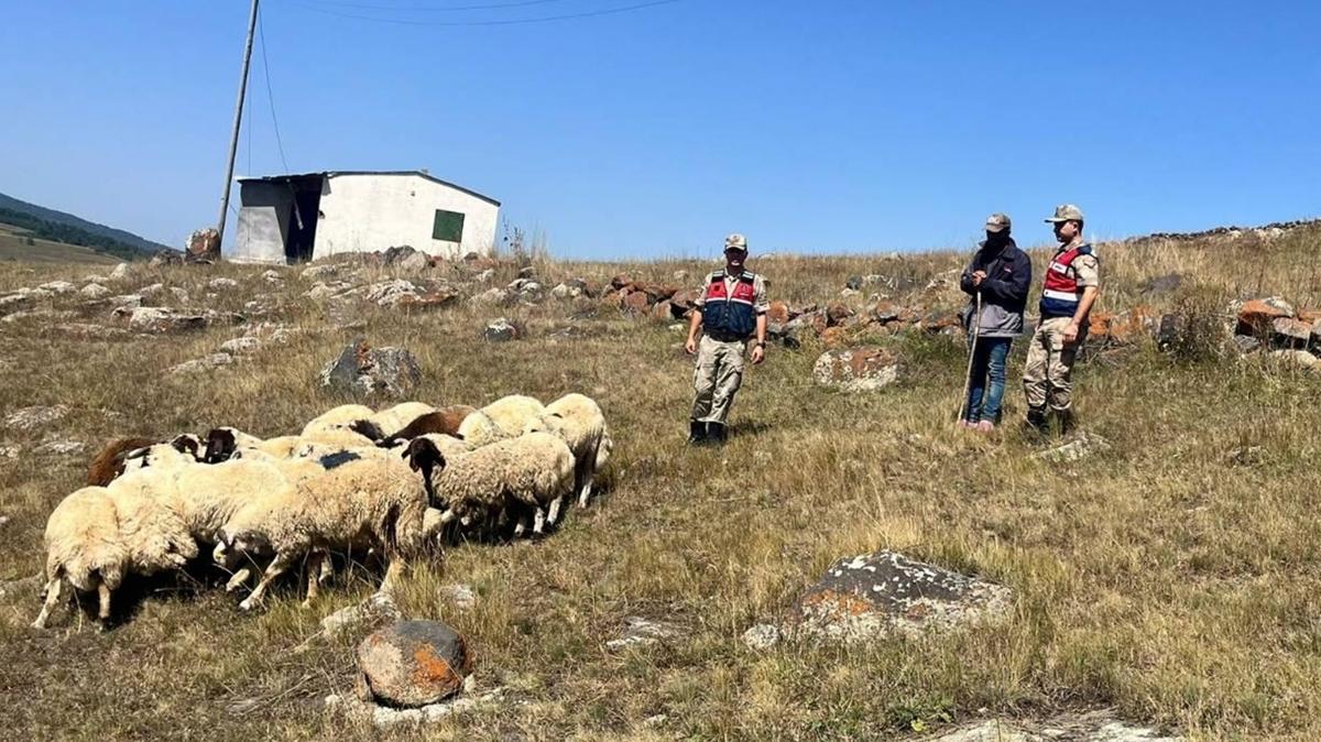 Jandarma alnan hayvanlar drone ile bulup sahiplerine teslim etti