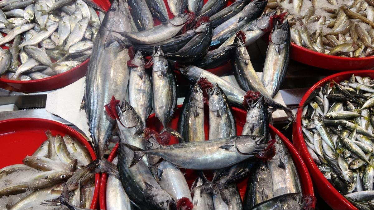 Kk balk avlayanlara 66 bin lira para cezas uyguland