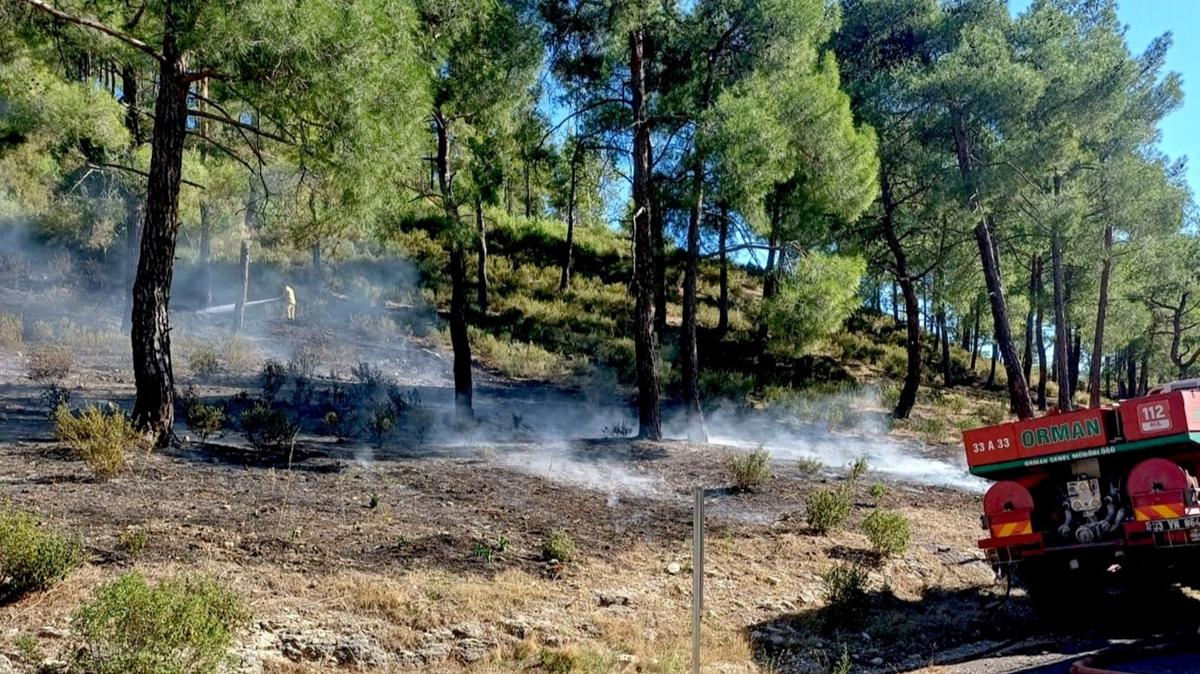 Mersin'in Erdemli ilesinde kan orman yangn kontrol altna alnd