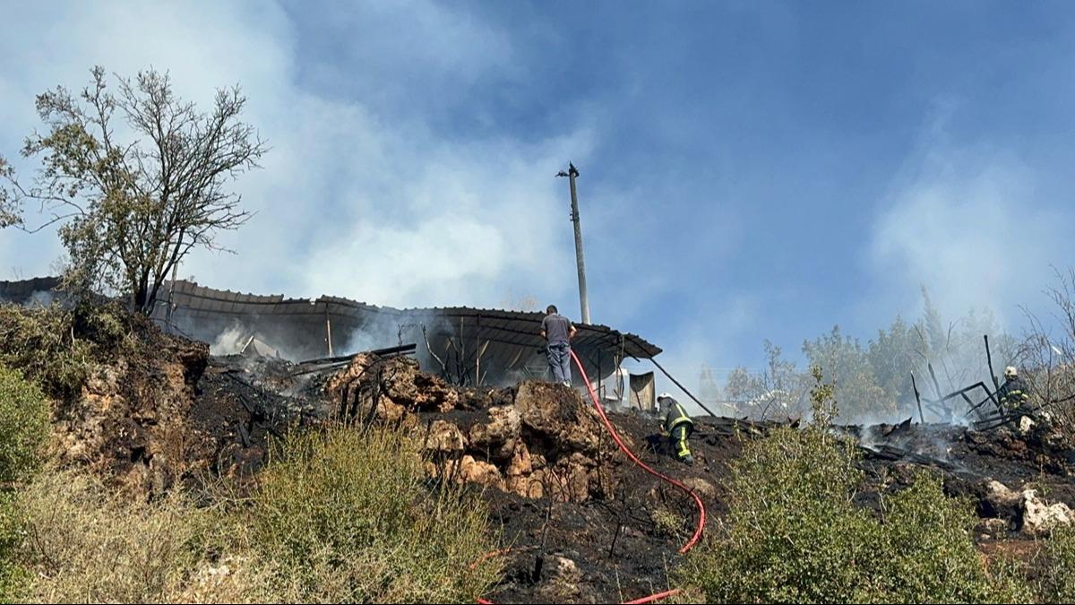 Antalya'da alda kan yangn hayvanlar telef etti