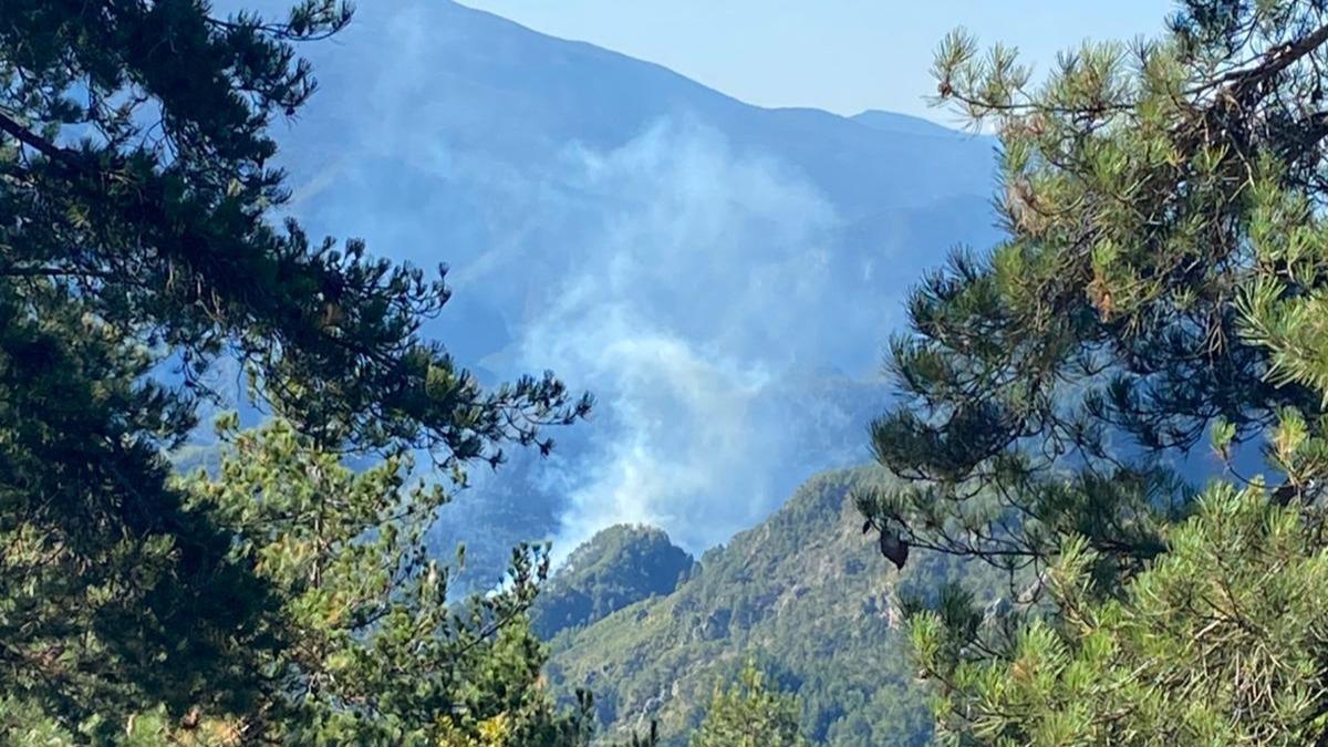 Hatay'da orman yangn