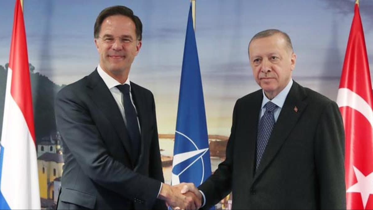 Cumhurbakan Erdoan, NATO Genel Sekreteri Rutte ile telefonda grt