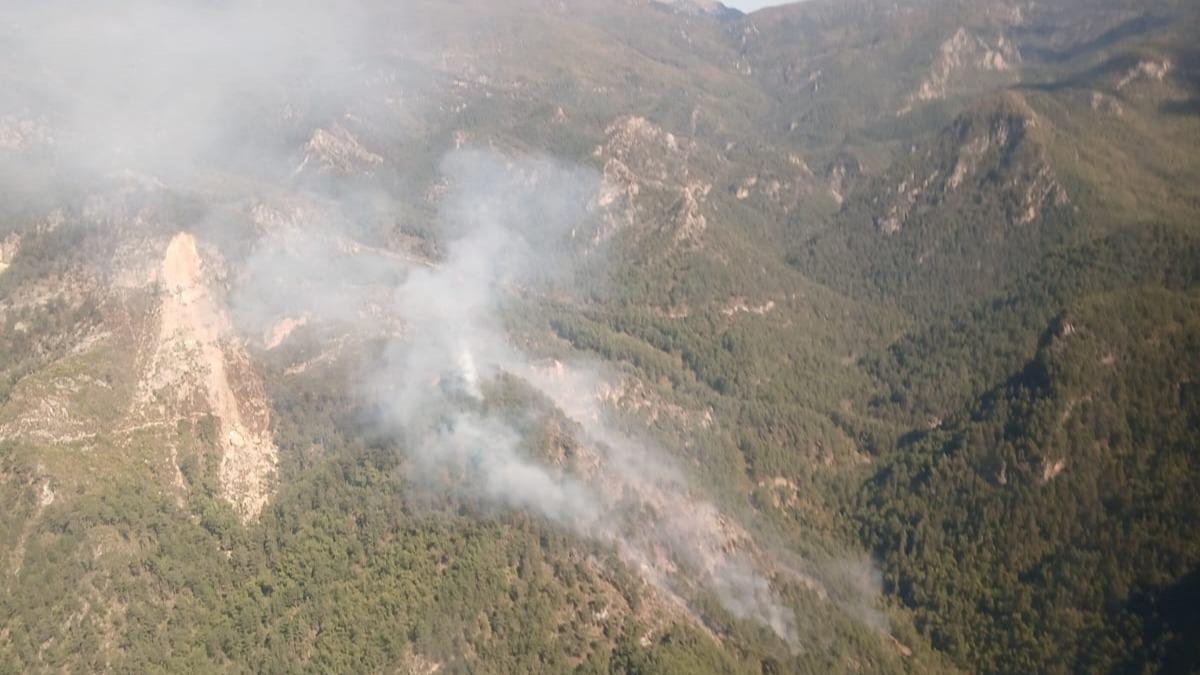 Hatay'daki orman yangnna havadan mdahaleye yeniden baland                                          