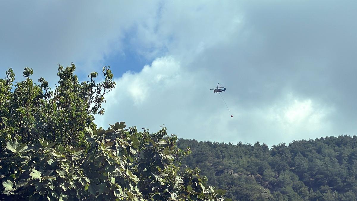 Hatay'daki yangn kontrol altnda