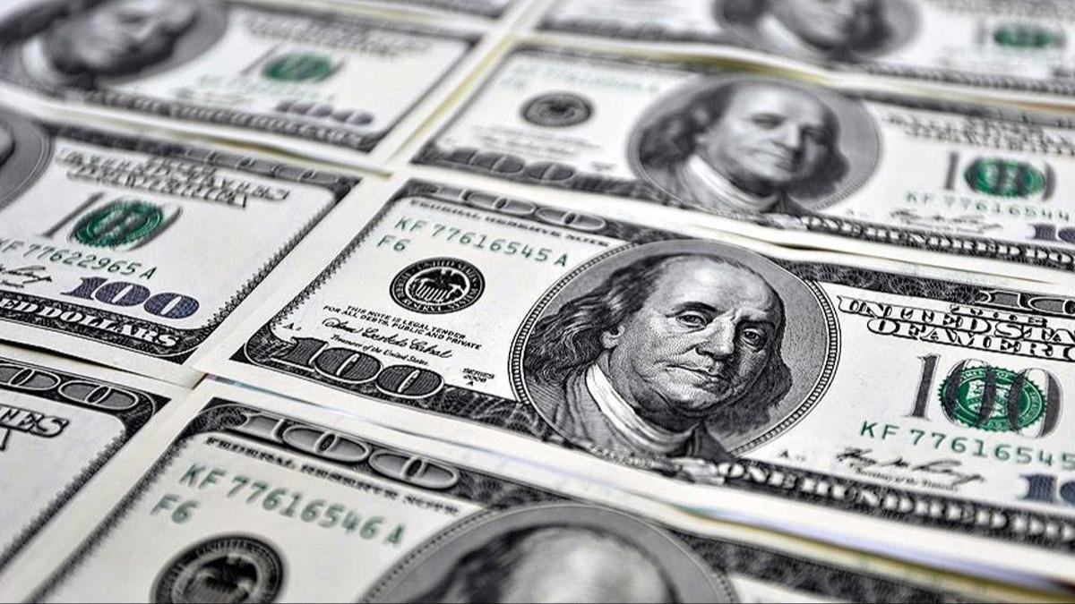 Merkez Bankas rezervleri 159,4 milyar dolarla rekor krd