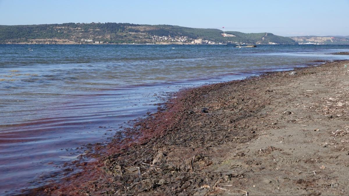 anakkale Boaz'nda krmz alg alarm