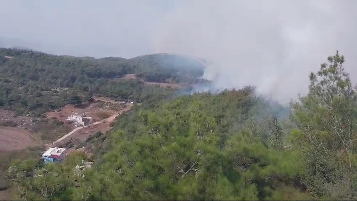 Hatay'da orman yangn: Mdahale balad