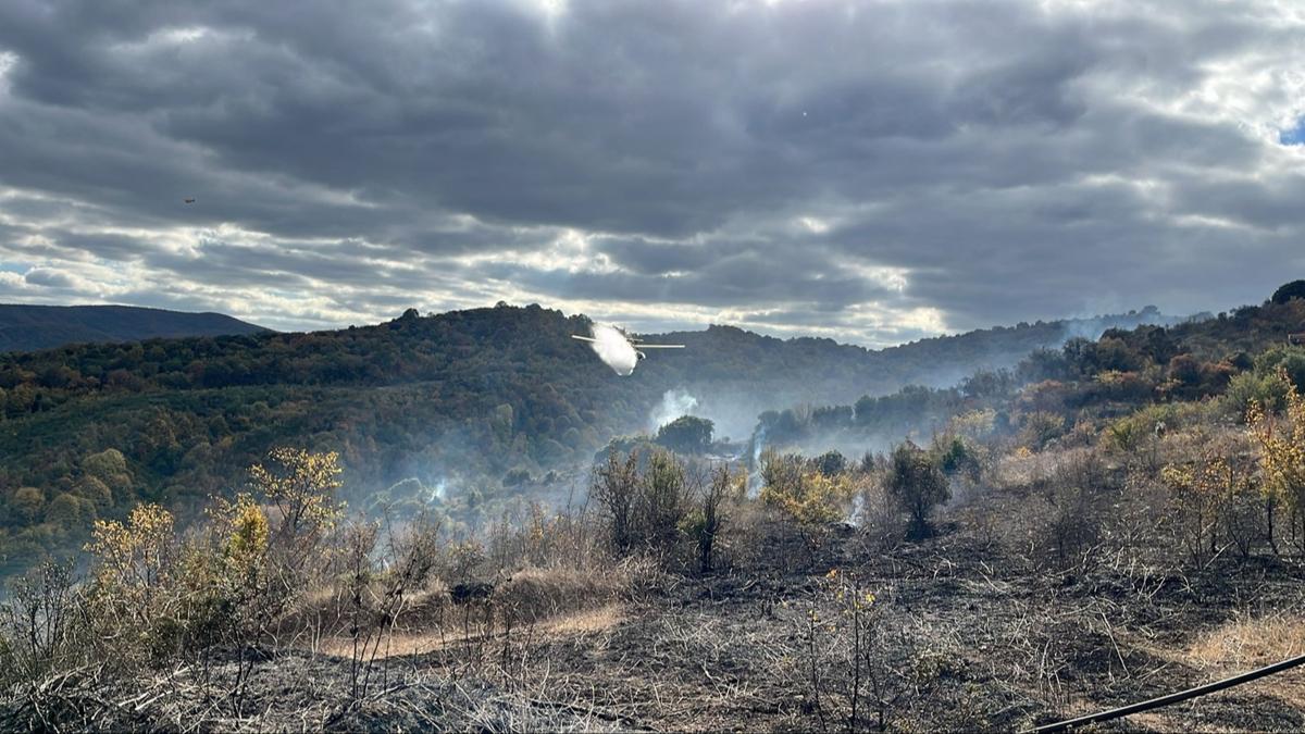 anakkale'de orman yangn! 