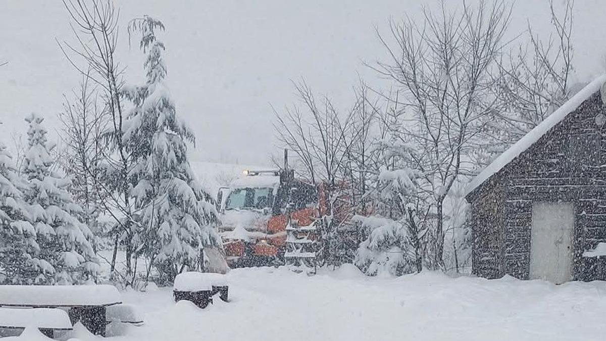 Ordu'da karda mahsur kalan 4 kii aranyor