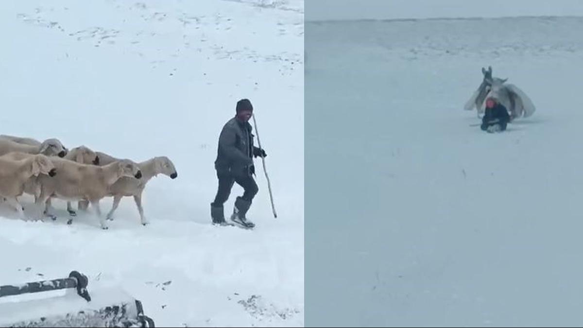 Sivas'ta kar ve tipi obanlar mahsur brakt! 7 saatlik alma sonucu kurtarld