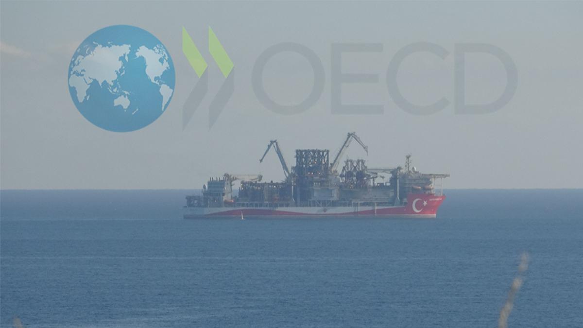 OECD'den ''Trkiye'' tahmini