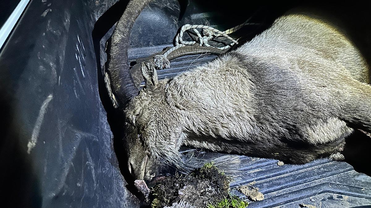 Y Partili vekilden kaak av skandal! Ceza kesildi