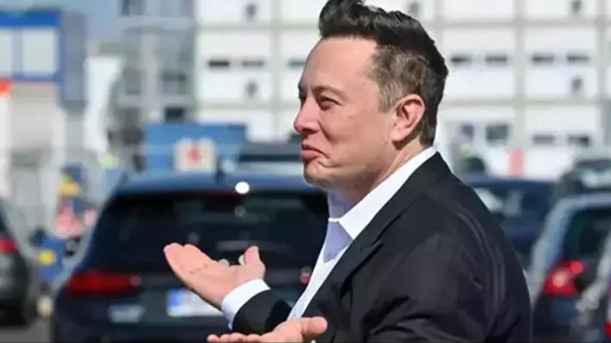 Almanya'dan Musk'a 'AfD' tepkisi             