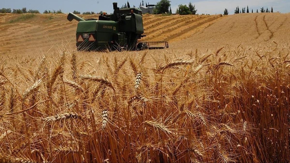 Bakanlktan iftilerin tarm sigortas maliyetlerine destek             