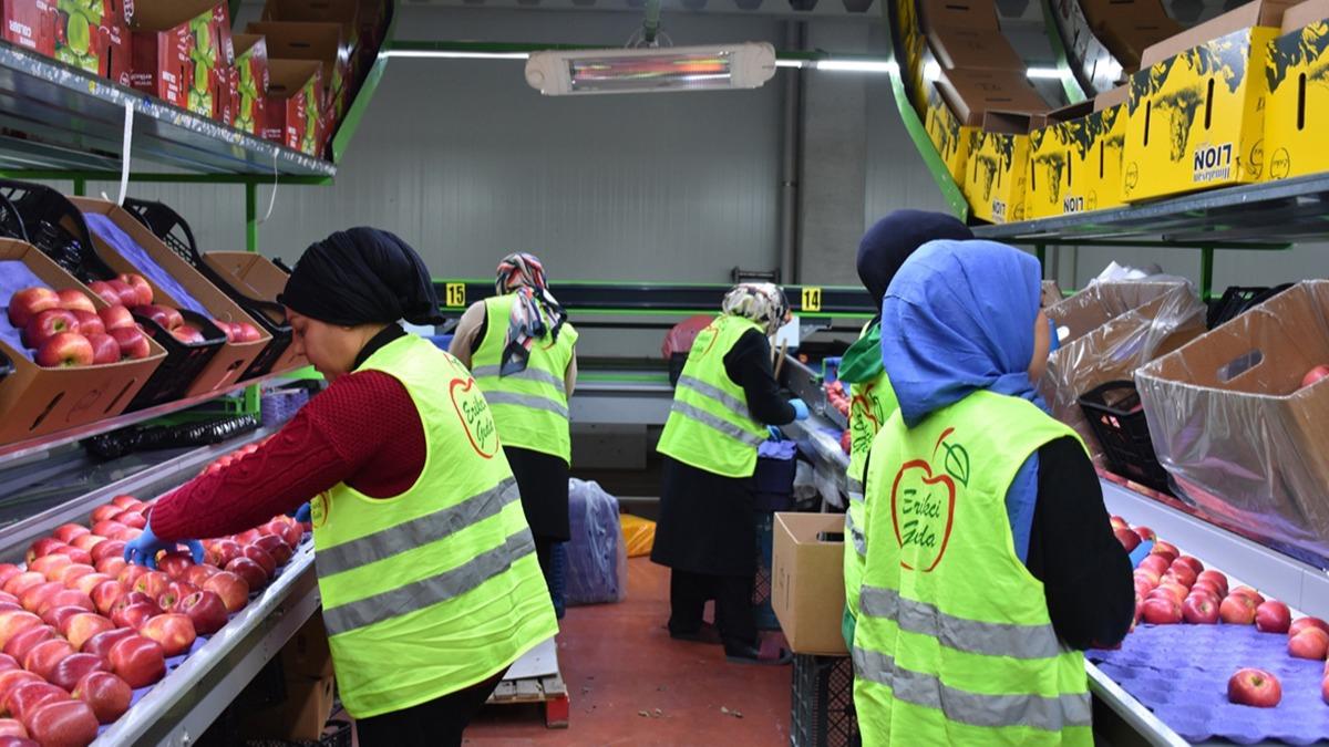 21 lkeye ihracat yapyor: Devlet desteini ald iletmesini kurdu