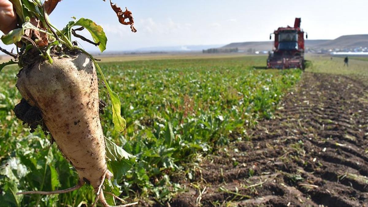 Szlemeli retim anlamazlklarnda arabuluculuk kolayl