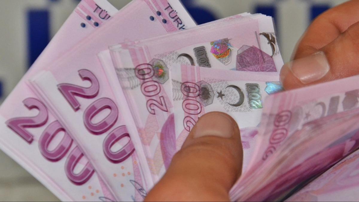 100 projeye 461 milyon lira hibe denecek