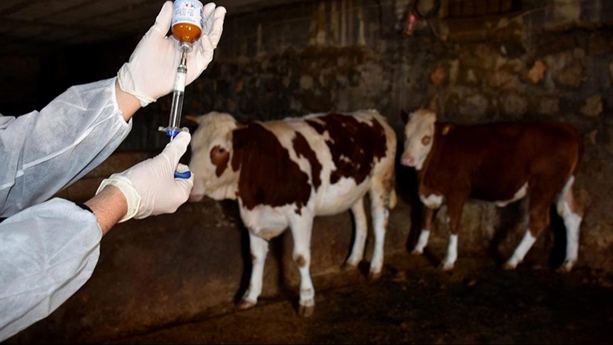 ap hastal alarm! O ehirde  ile karantinaya alnd