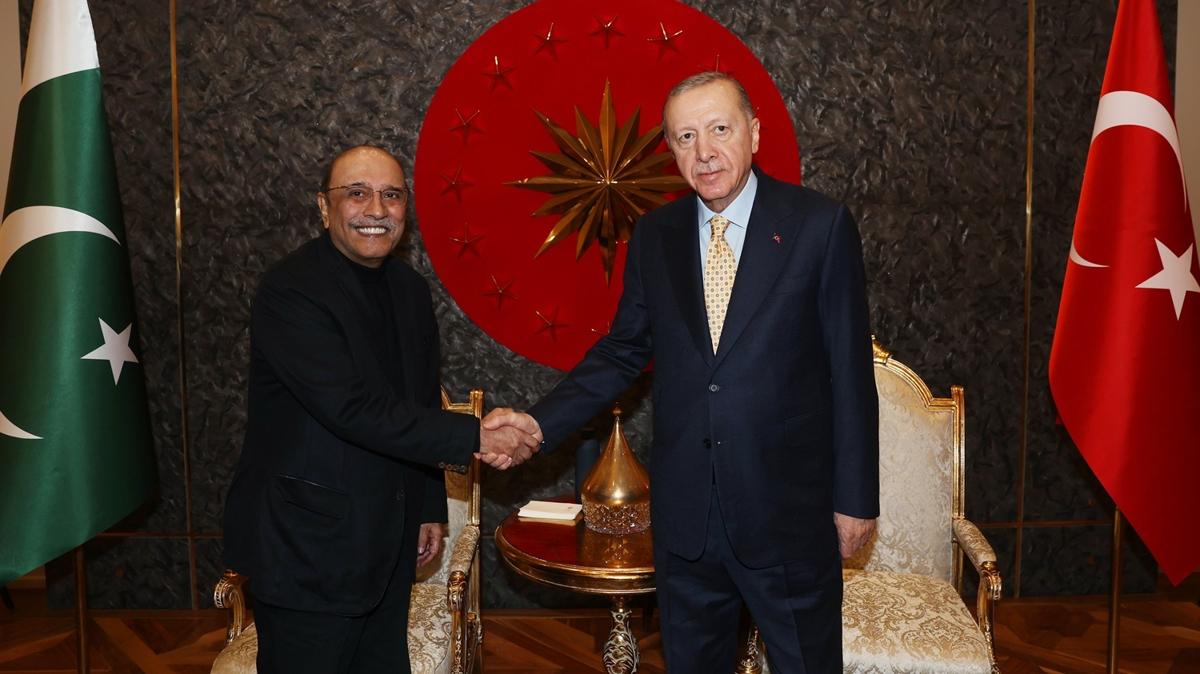 Cumhurbakan Erdoan, Pakistan Cumhurbakan Zerdari ile grt