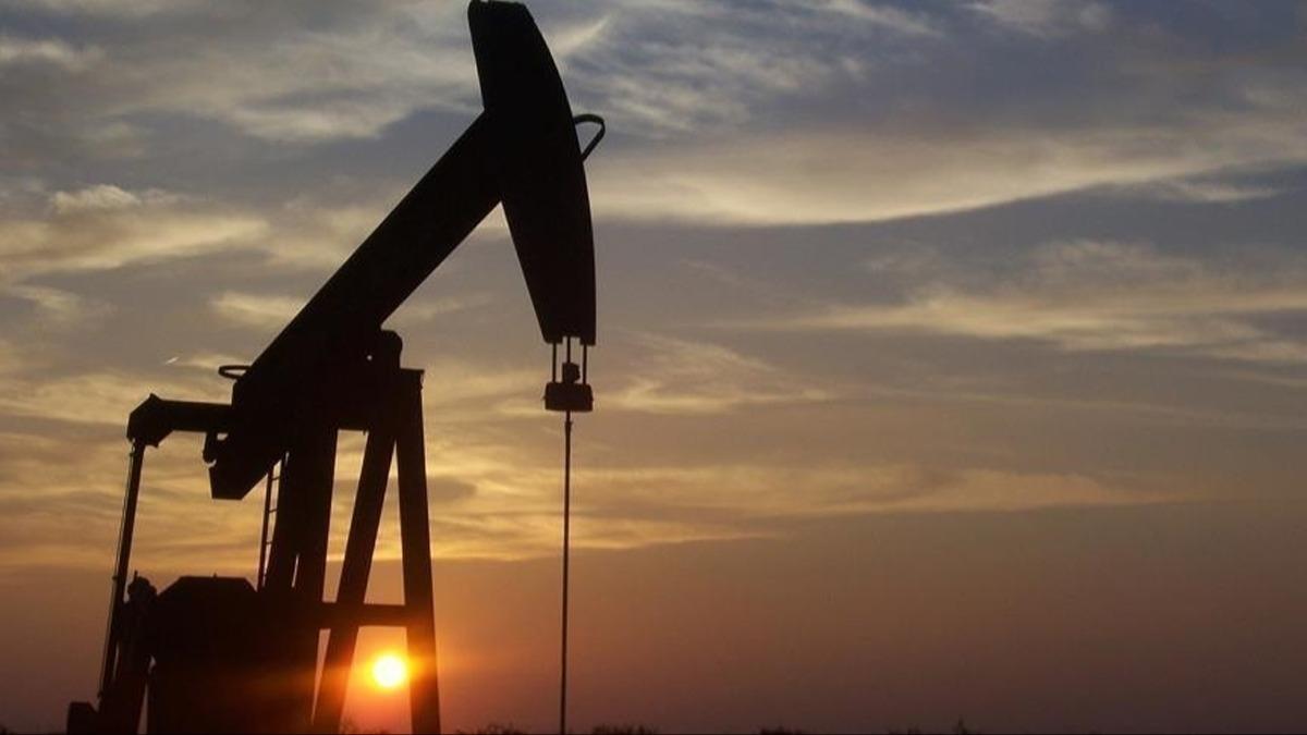 Erzincan'da petrol aranacak!