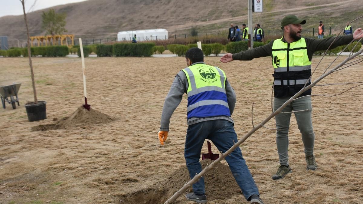 Trkiye, Musul'a 250 bin fidan hediye etti