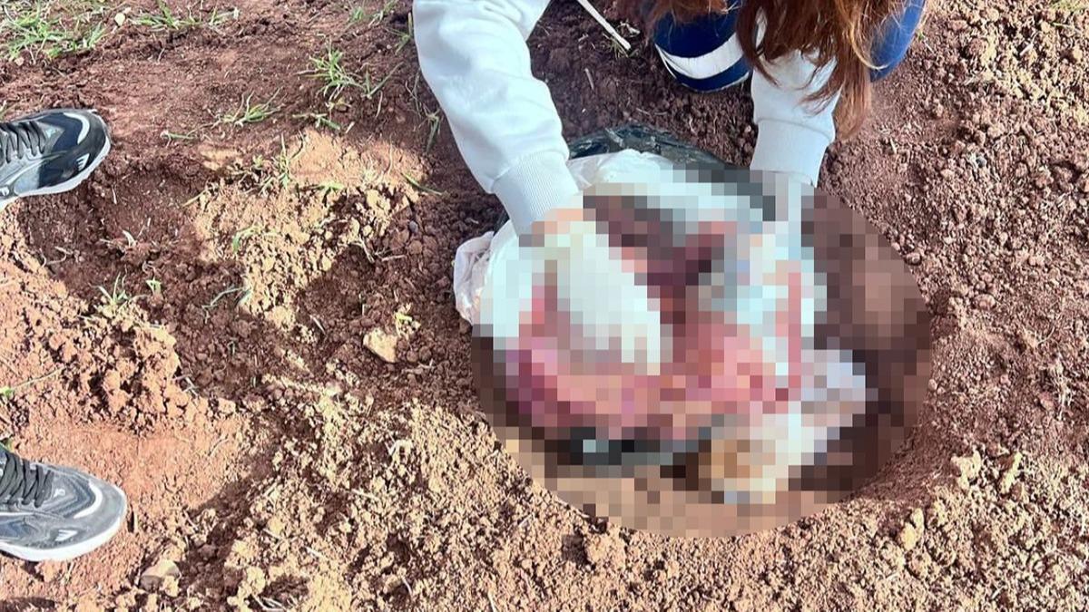 Korkun olay: Bo arazide bebek cesedi bulundu