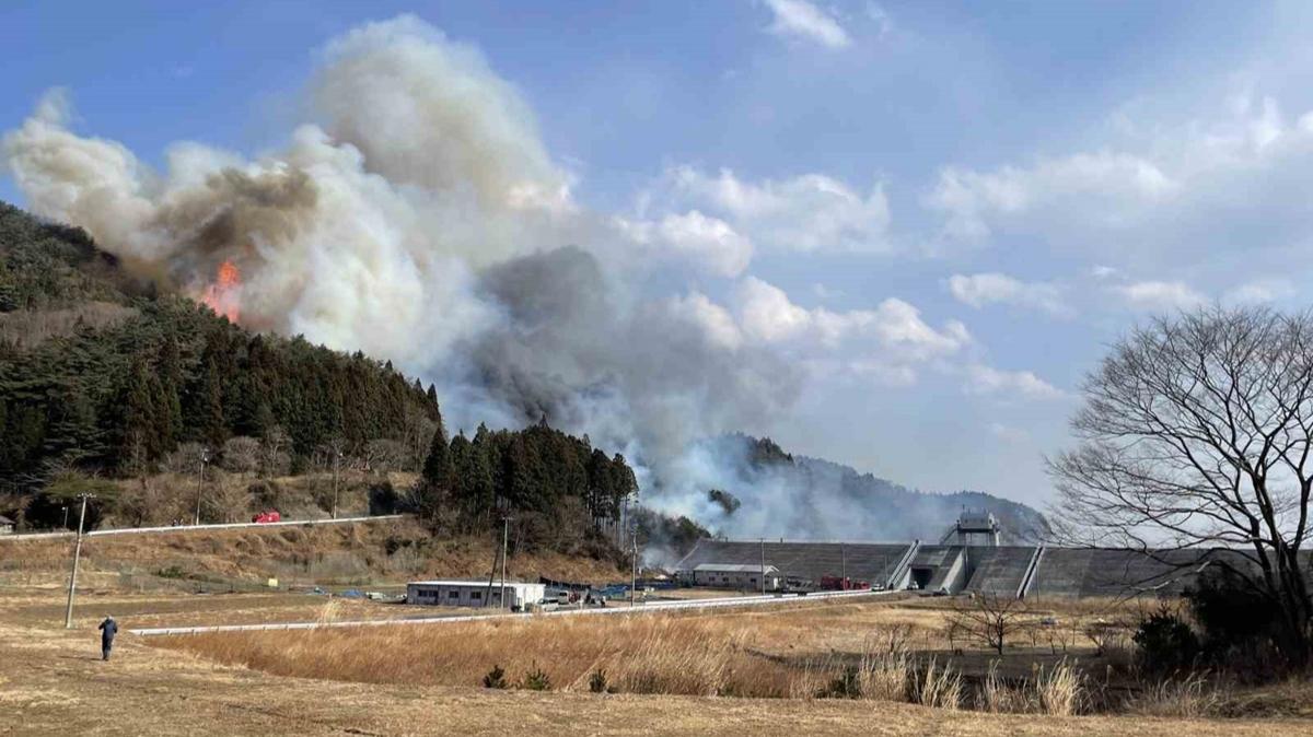 Japonya'daki orman yangn! Bilano belli oldu