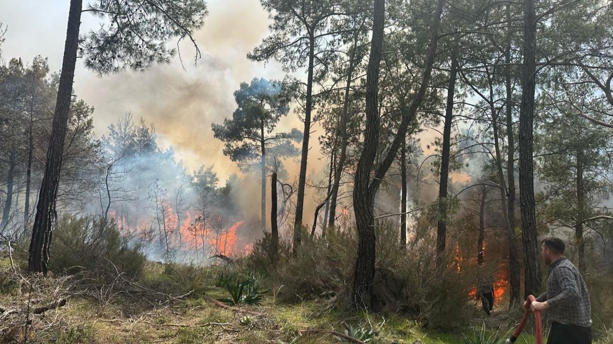 Antalya'da orman yangn