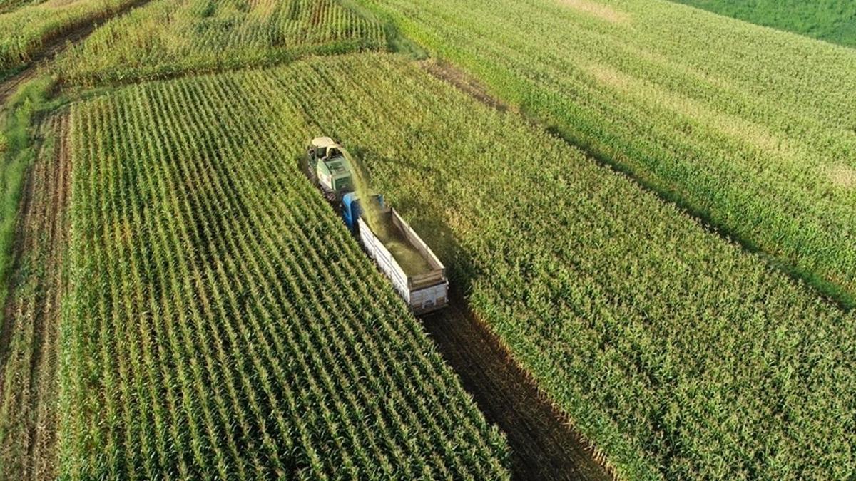 370 bin iftiye ''pestisit'' eitimi