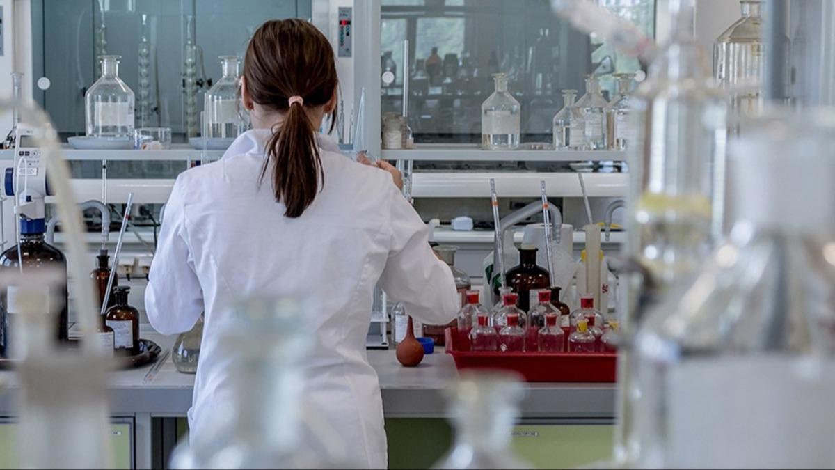 Bamsz laboratuvar kurmak isteyene destek