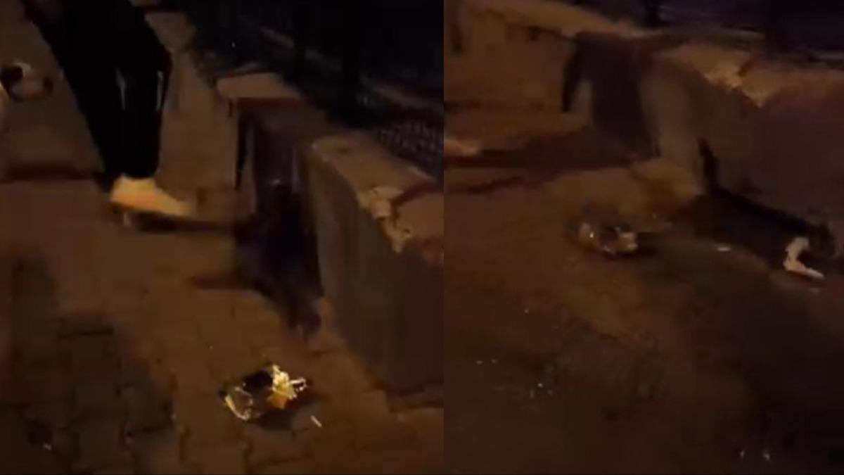 Kediye tekme atan kiiye gzalt