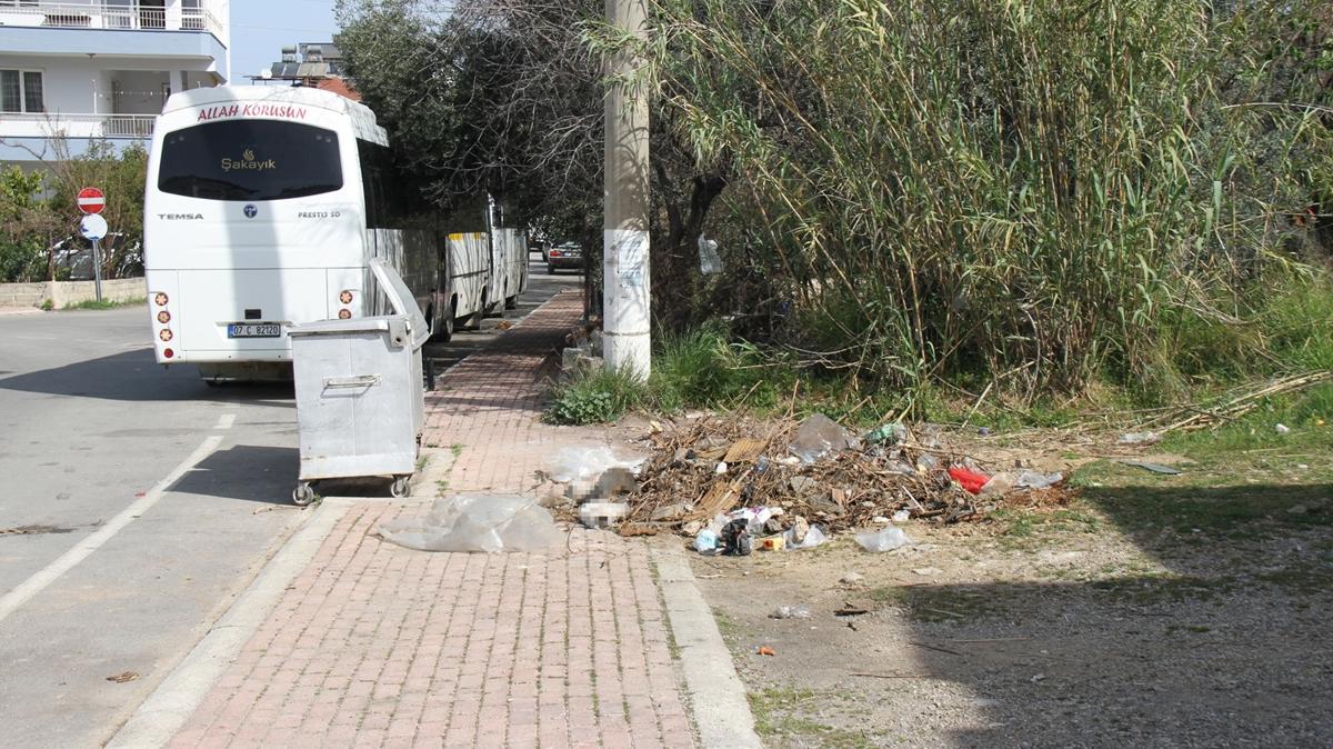 Antalya'da kedi lmleriyle ilgili inceleme balatld