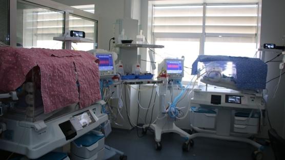 Beiz bebek sahibi oldular