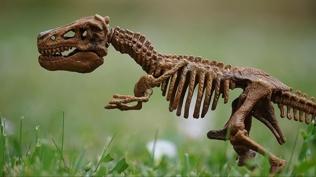 Milyonlarca yıl önce yaşamış iki parmaklı dinozor türü keşfedildi