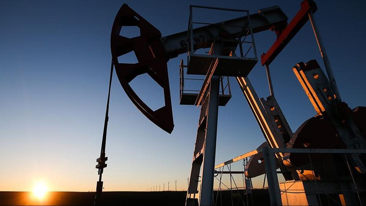 Denizde siyah altn' kefi: 100 milyon tonluk petrol rezervi iin harekete geildi
