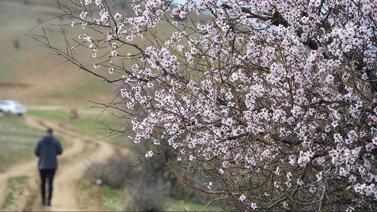 Meteoroloji tarih verdi: Bahar geri geliyor! stanbul'da scaklklar artacak