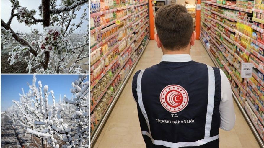 1271 firma ve 8 bin 476 ürün incelendi