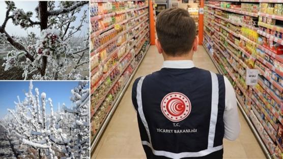1271 firma ve 8 bin 476 ürün incelendi