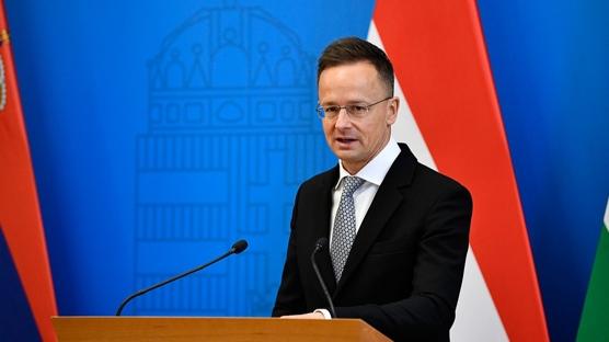 'Trkiye olmasa byk sorun yaardk'