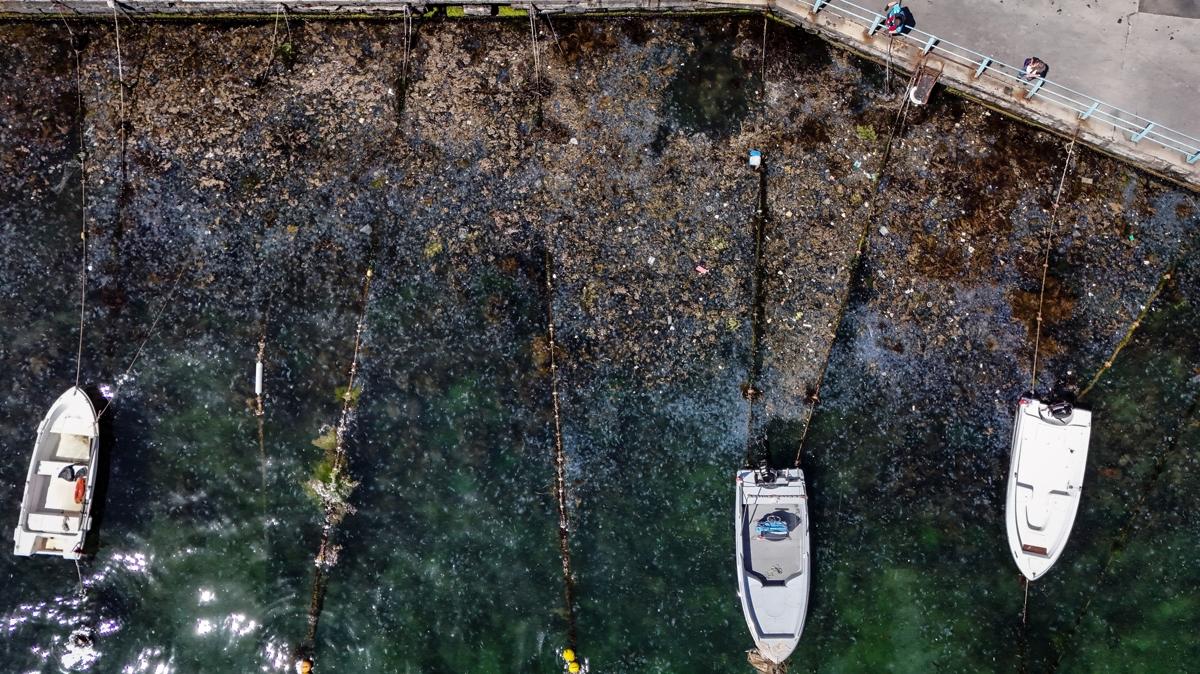 Msilaj tehlikesi kapda! stanbul Boaz'ndaki kirlilik gzler nne serildi 