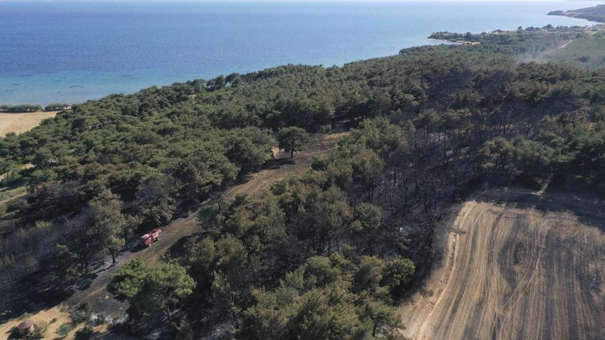 Yangınla mücadele! Çanakkale'de ormanlara girişler 1 Haziran itibariyle yasaklandı