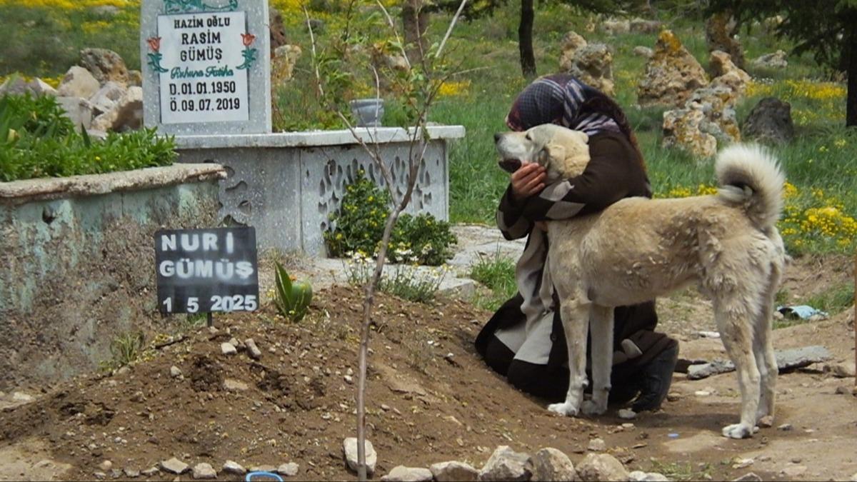 'Garip'in gzyalar: Sahibinin mezar banda sonsuz sadakat 
