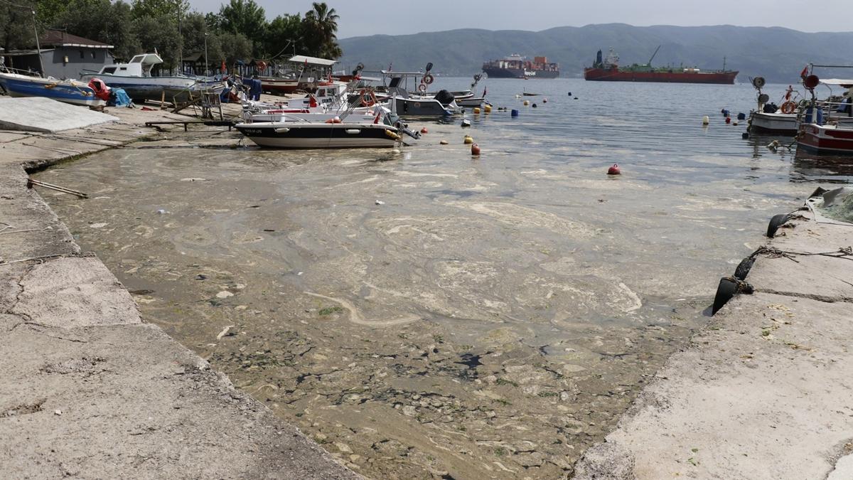 Krfezde oluan kpks tabaka temizleniyor 