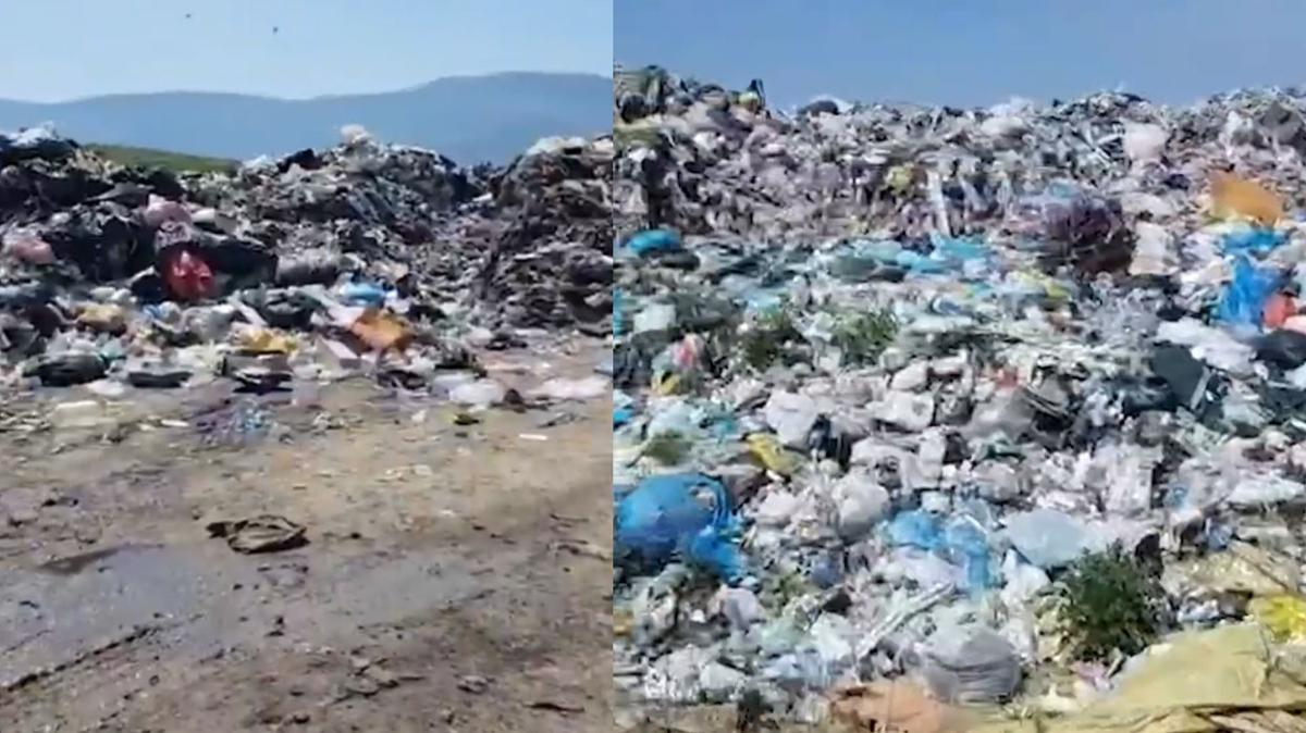 Tonlarca p doaya dkmler... CHP'li zmir Belediyesinden evre katliam