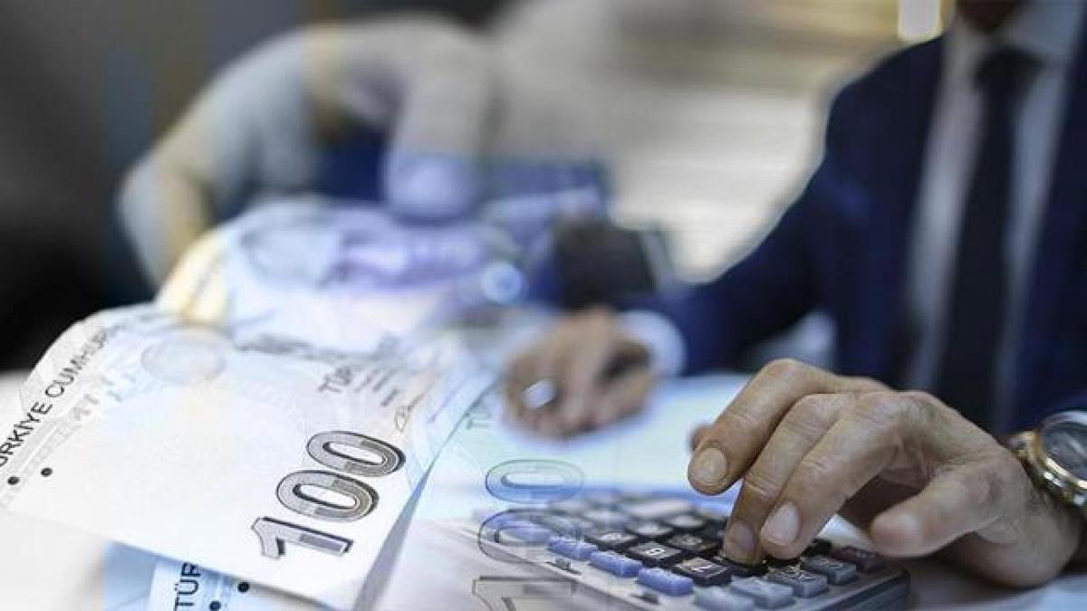 Yal ve engelli aylklar hesaplara yatrlyor 
