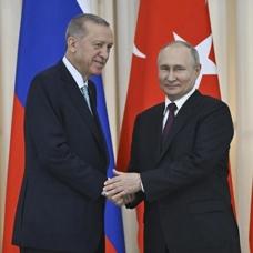 alt=