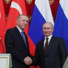 alt=