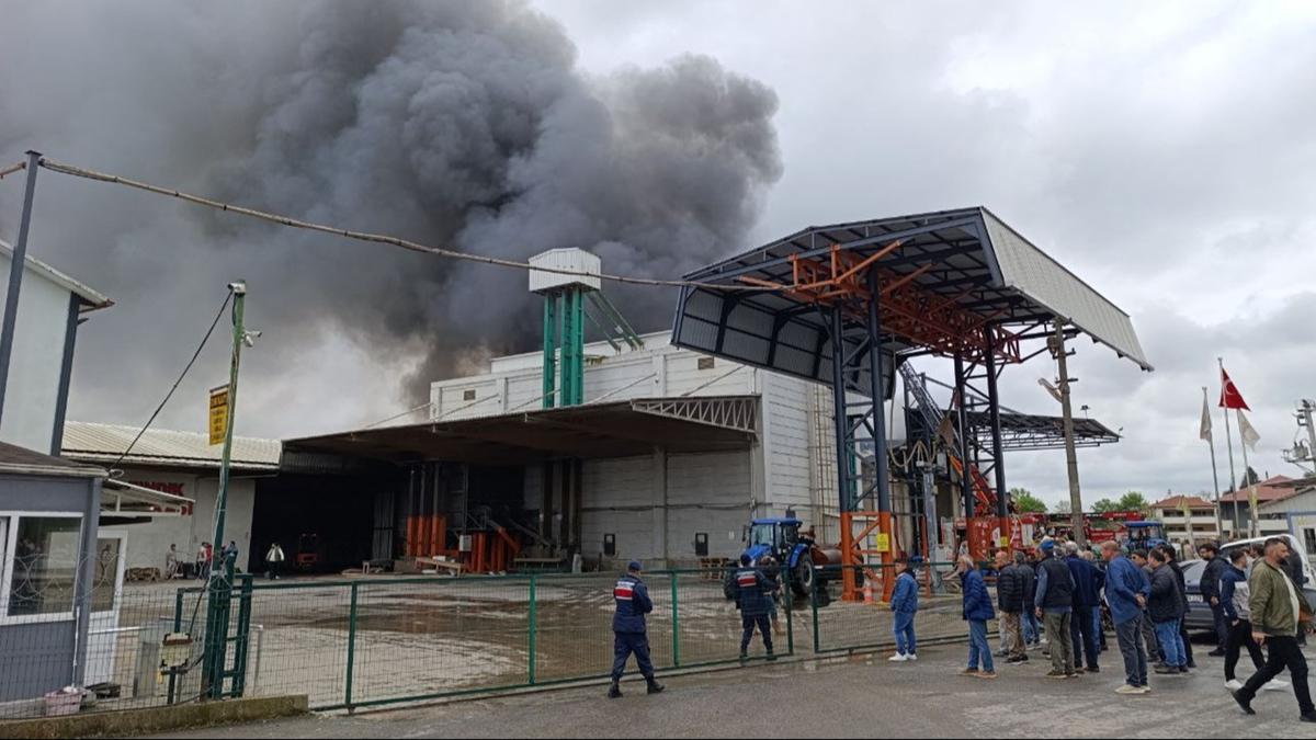 Sakarya'da fndk fabrikasnda kan yangn sndrld 